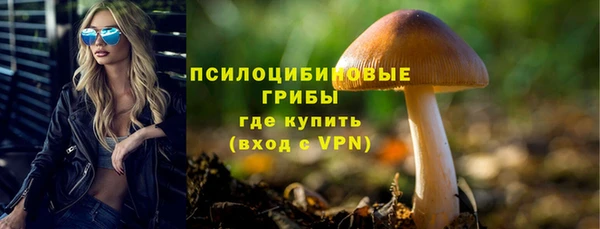 бутират Надым