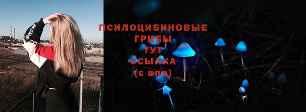 бутират Надым