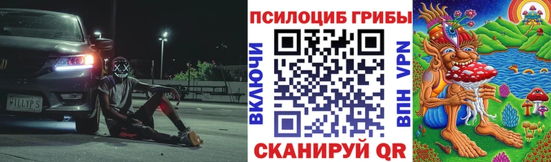 Псилоцибиновые грибы Psilocybine cubensis  купить наркотик  MEGA   shop клад  Киров 